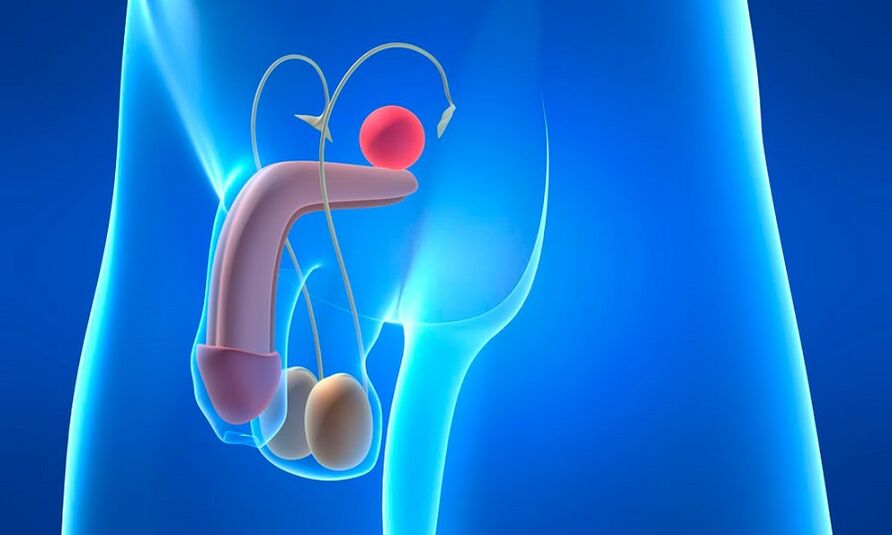 Prostatisaren edema prostatitisarekin