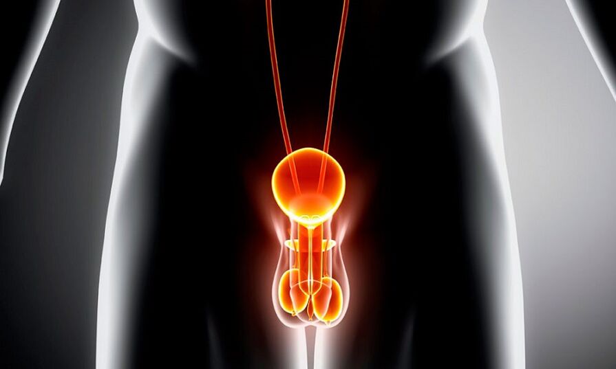 Prostatitisarentzako genitourinar sistema hantura